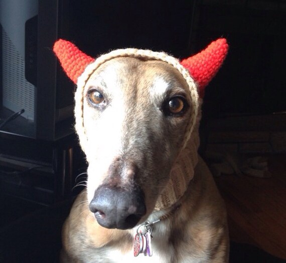 DEVIL HORNS Made to Order Snood Hat for Dogs by GreyBabyCrochet