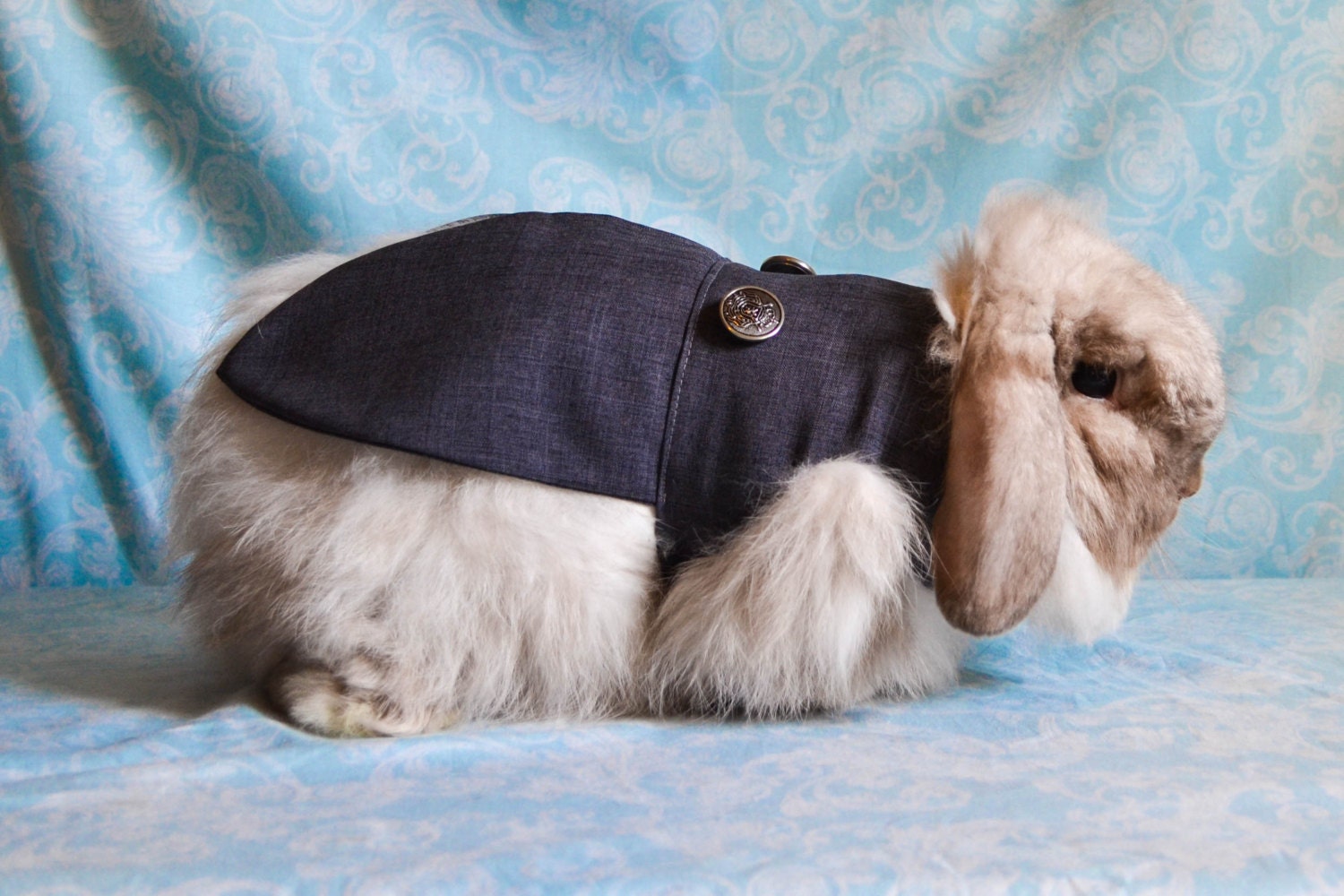 Charcoal Rabbit Tuxedo