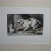 19th Century Landseer Dog Print, "Too Hot To Hold"