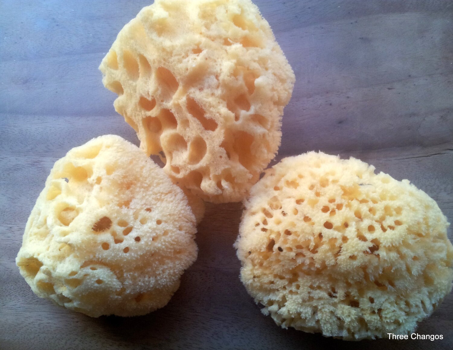 Natural Dead Sea Sponge/Luxurious Bath Sea Sponge for Body and