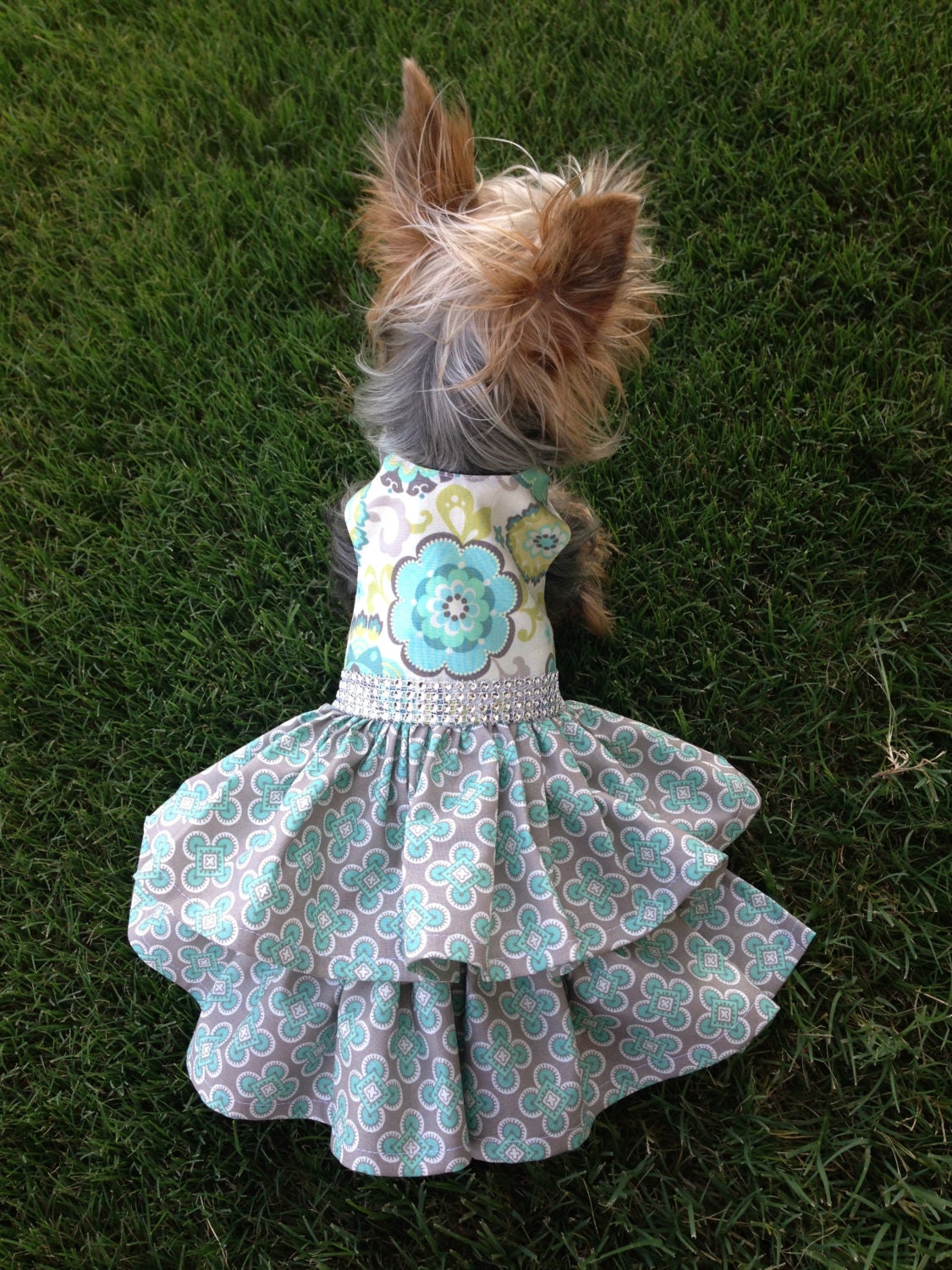 Custom Made Dog Clothes