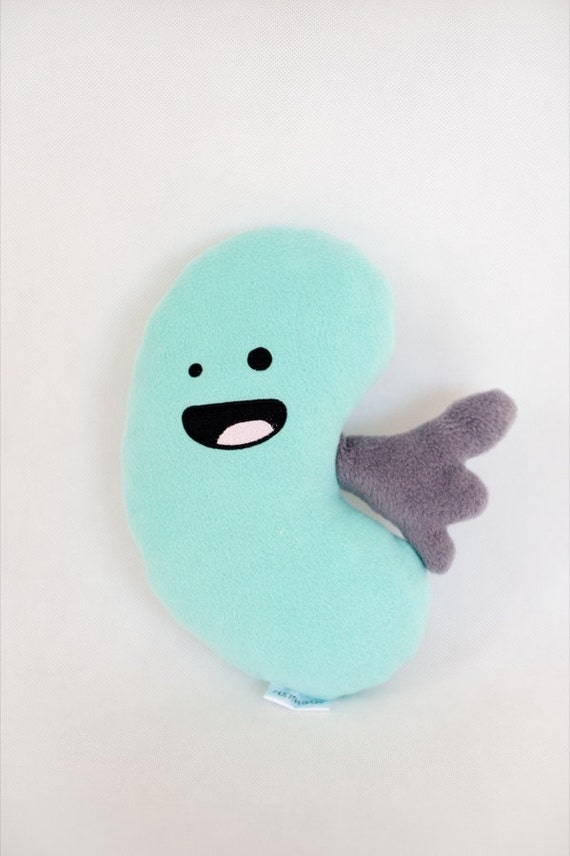 stuffed kidney