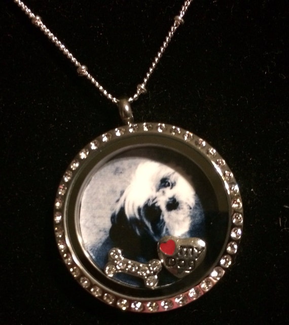 Items similar to I love my dog locket, origami owl on Etsy