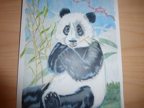 Print of a Panda colored pencil drawing
