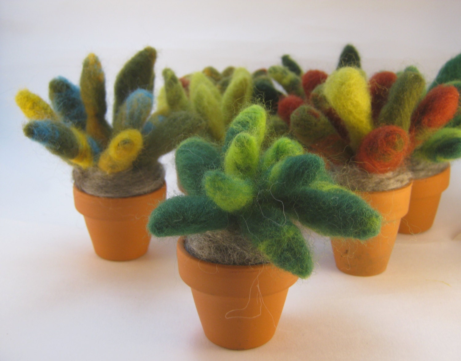 Needle felted plants little in terracotta pots. Plants are