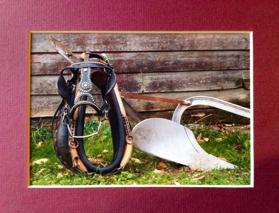 Original Photograph: antique farm/ horse/harness/plow matted