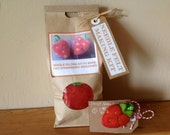 Kit to make two needle felted strawberry brooches from  wool tops, with full colour, easy to follow instructions GRADED:  EASY