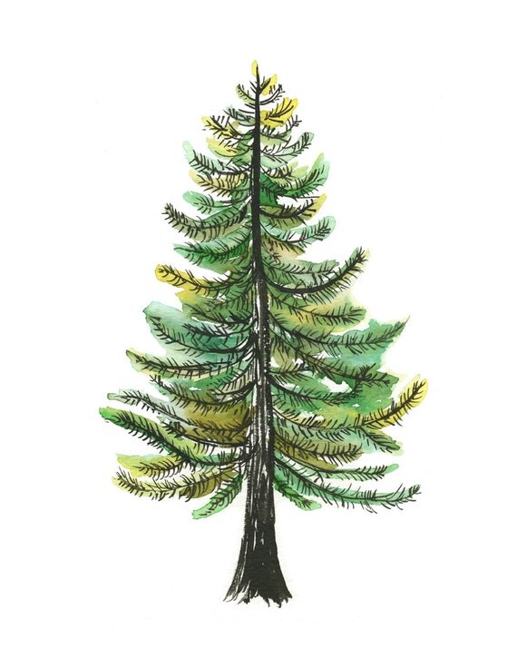 Watercolor Evergreen Tree Art Print painting tree nature