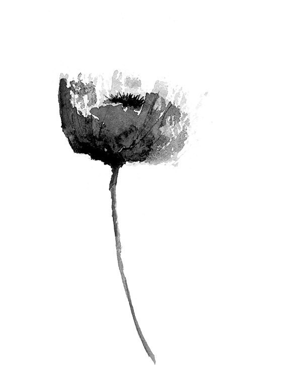  Black  and White Poppy Print  from Original Watercolor  Flower 