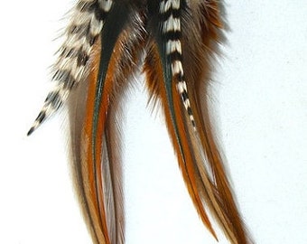 Short Feather earrings, Real Feather Earrings, Feathers, Brown Earrings, Brown Feather Earrings, Black Feather Earrings, Natural Feathers