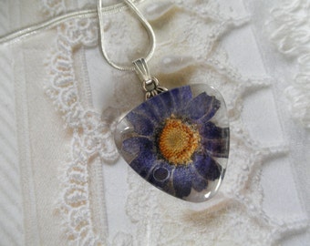 Denim Blue Daisy w/Dewdrop Pressed Flower Glass Triangle Pendant-April's Birth Flower-Symbol Loyal Love-Nature's Art-Gifts For 25