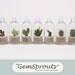 Holiday Sale - Wearable Plant - Secret Suprise Dome GemSprout Necklace