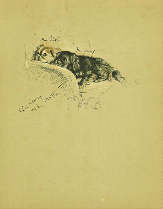 PEKINGESE Dog Print, Puppy Print, Wall Decor, Wall Art, Antique Decor, Interior Design, Lucy Dawson, 1930s Home Decor, Dog Decor, B-3