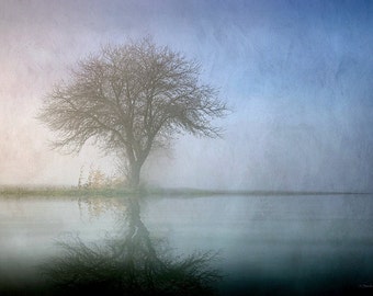 Items similar to Winter Wonderland, Landscape Photography, Trees in Fog ...