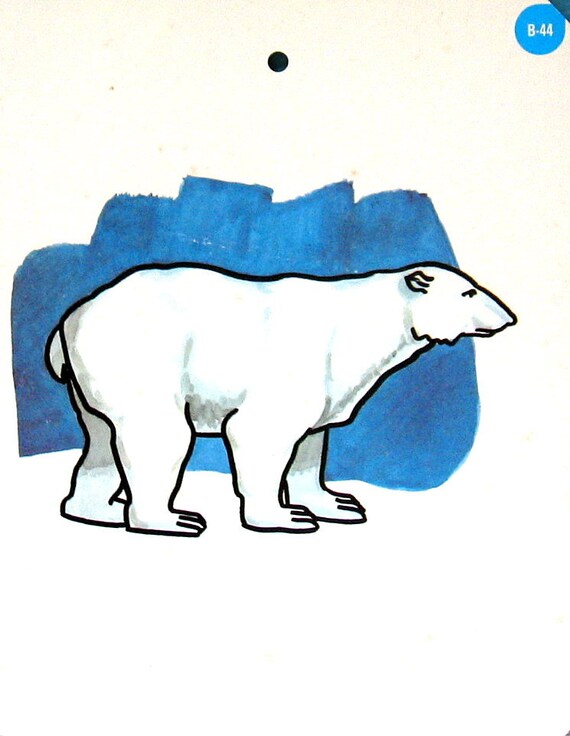 4 Large Vintage Flashcards Animals Giraffe Polar Bear