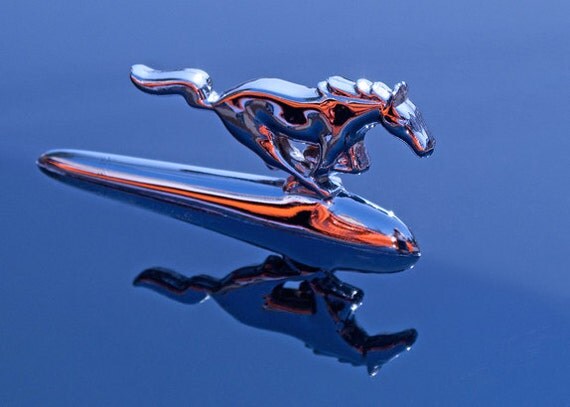 Horse Hood Ornament Mustang Figure Classic Car Photograph