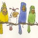 Quartette