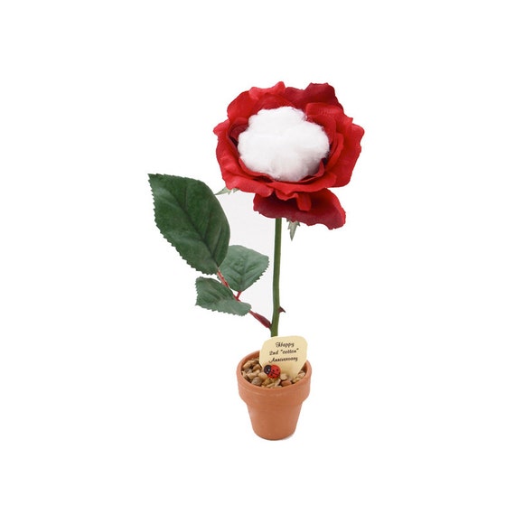 2nd Anniversary gift cotton rose
