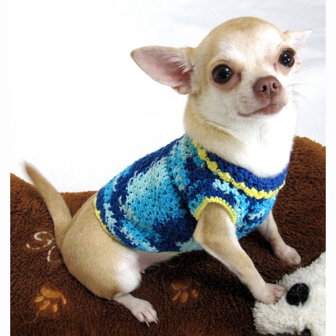 toy chihuahua sweaters