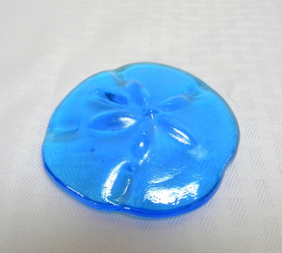 Glass sand dollar in Caribbean blue paper by ...