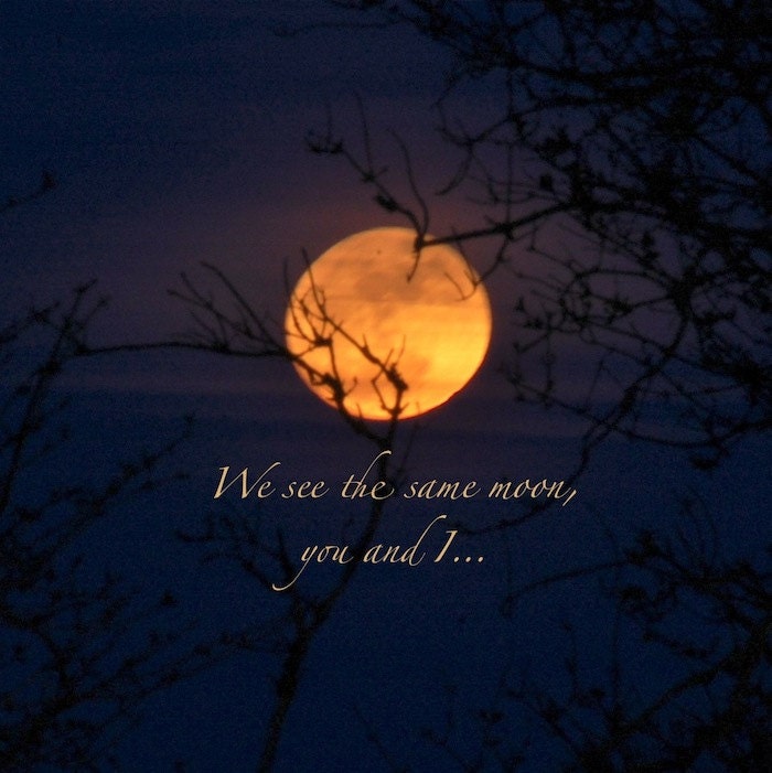 Download Supermoon photo we see the same moon full moon moon quote