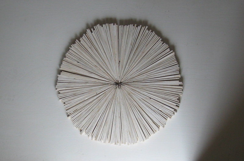 Art White Rustic Distressed Wood Wall Art Abstract Coastal