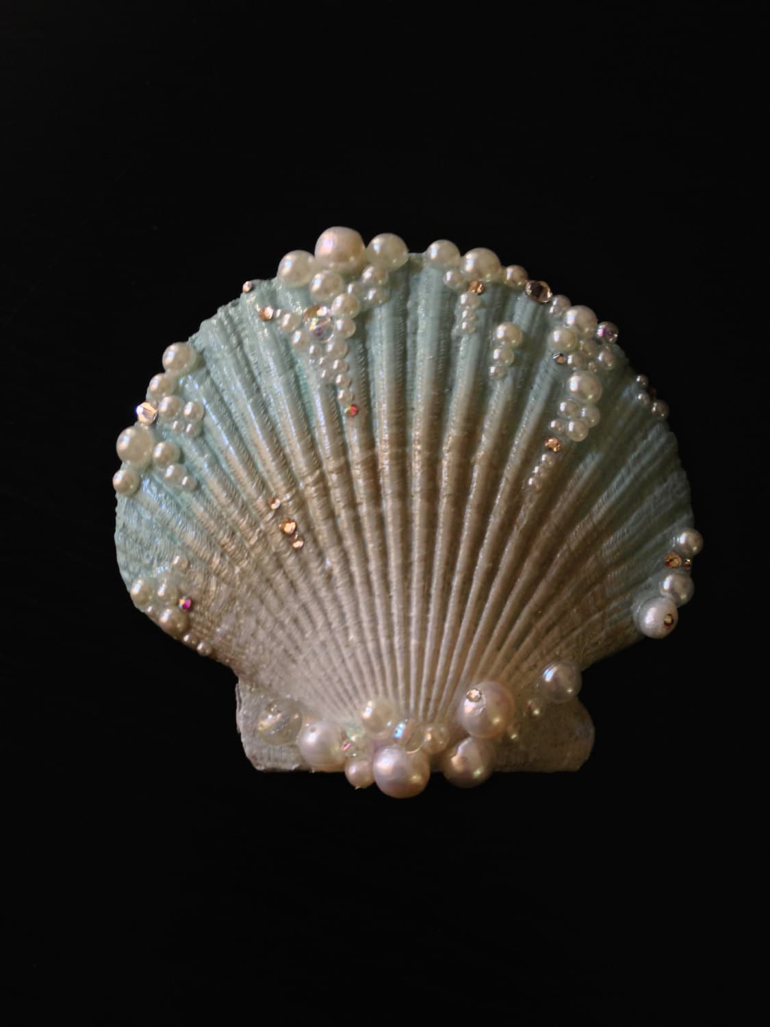 Landlocked Seashell Hair Clip