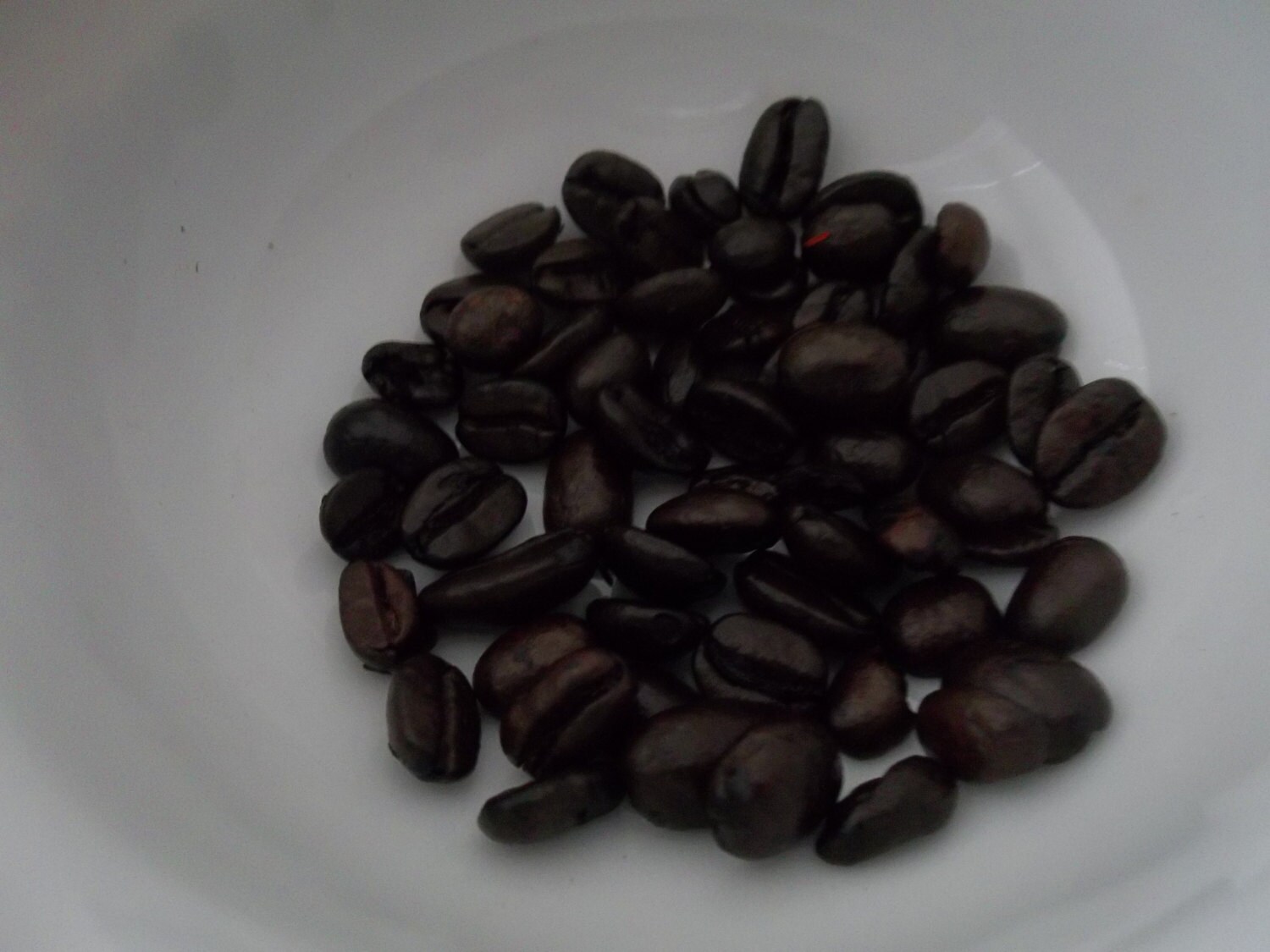Kentucky Bourbon Coffee Beans