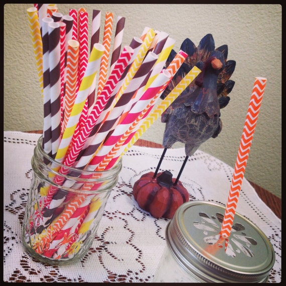 24 Fall Paper Drinking Straws Il_570xn