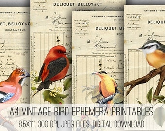 Digital Collage Sheet Download - A4 Vintage Bird Ephemera - 1048 - Digital Paper - Instant Download Printables