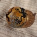 blown glass frog ornament