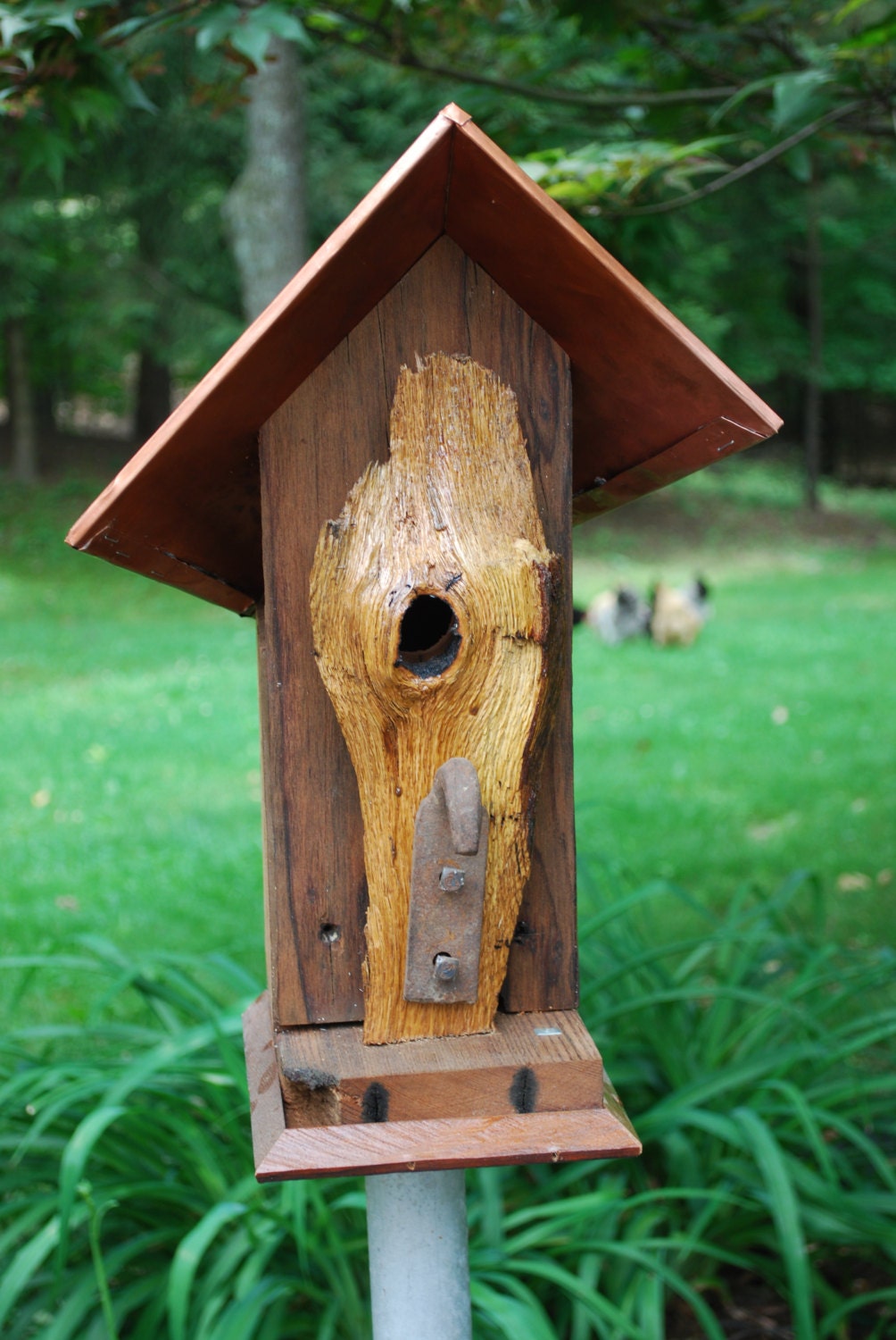 FREE SHIPPING: Rustic reclaimed redwood bird house with copper