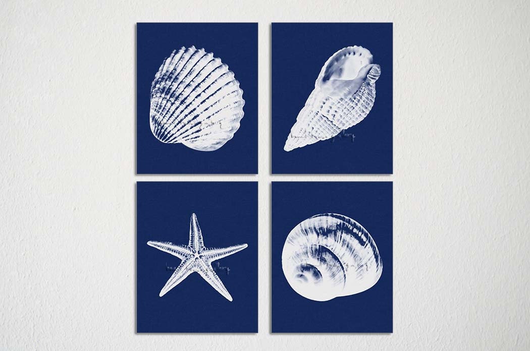 Seashell Art Navy Blue White Seashell Prints Seashell