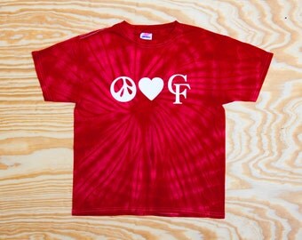 tie dye family reunion shirts