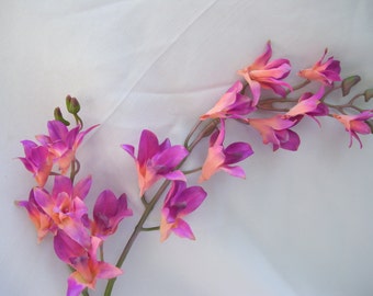 stems dendrobium