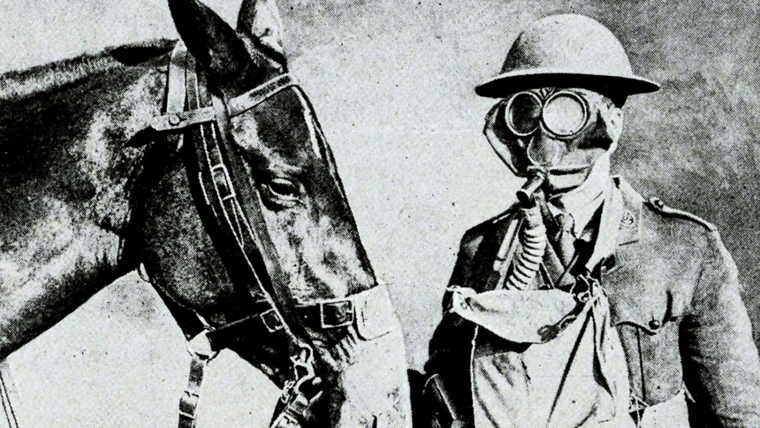 Horse and Soldier with Gas Masks Training for WWI by GalleryLF