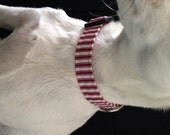 Peppermint Sticks KOUTURE Adjustable Dog Collar