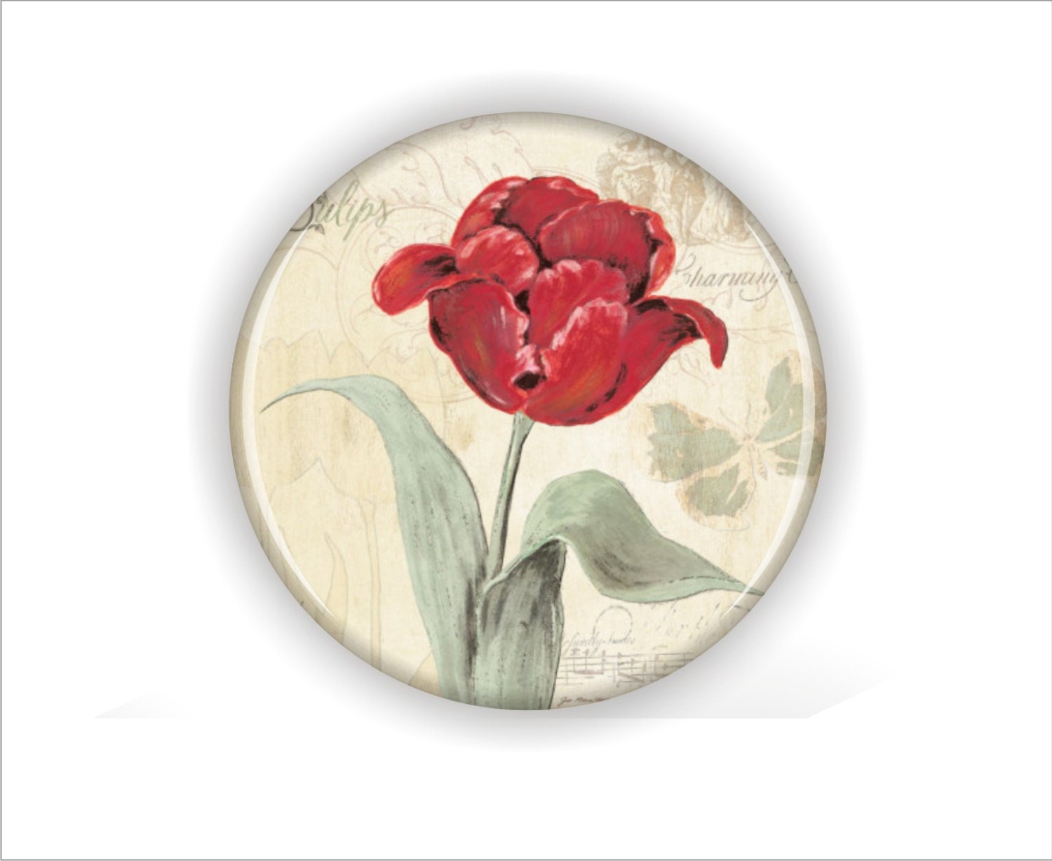 Tulips Coaster Set Pretty Floral Coasters by