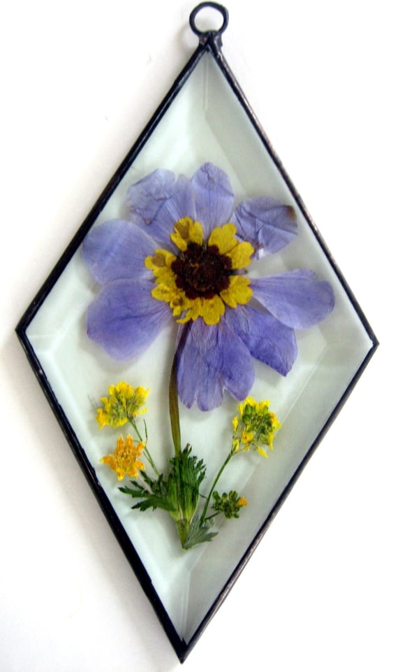 Stained Glass pressed flower bevel suncatcher