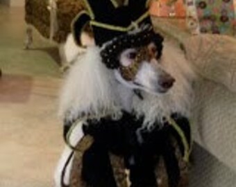 Venetian Jester Dog Costume