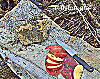 Snack at the apple orchard, Miryang Korea
