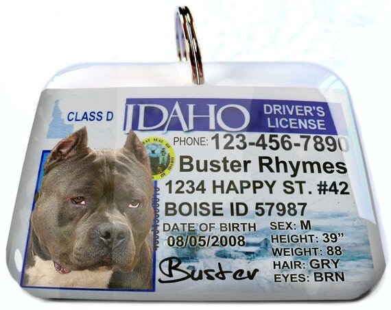 dog id tags license