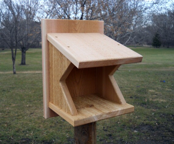 Barn Swallow Bird Houses Full Naked Bodies