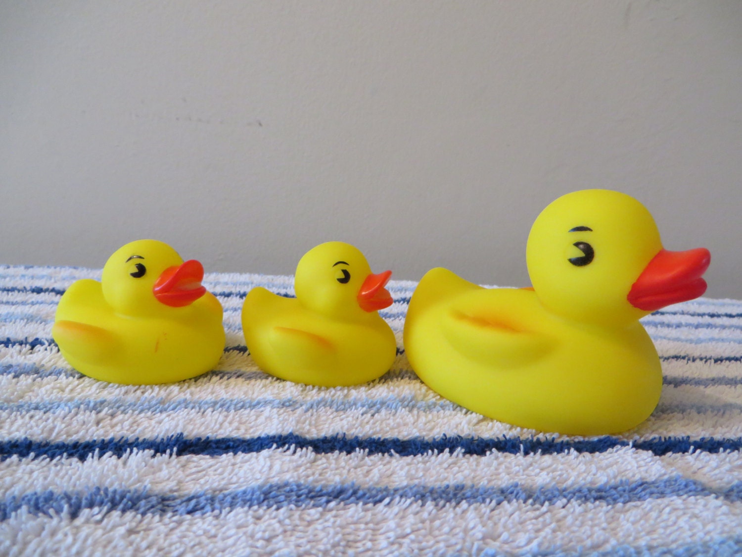 Mama duck and her baby ducks they make bath time fun