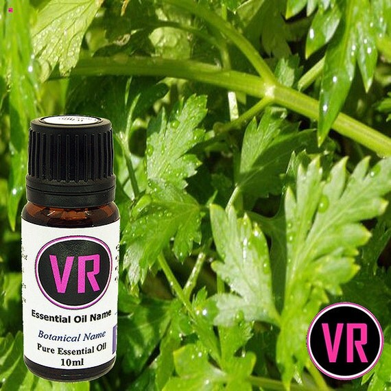 10ml Parsley Seed Petroselinum sativum Essential Oil