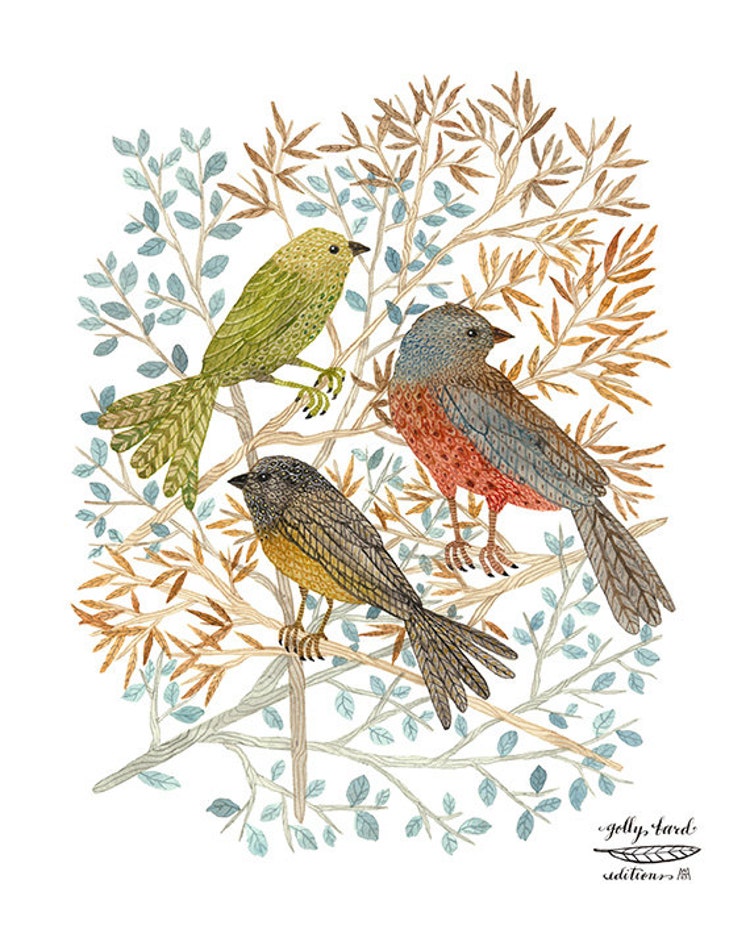Songbirds Print bird art giclee print woodland by GollyBard