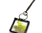 Real Moss Necklace, Terrarium Pendant, Forest Floor, Nature Lover Jewelry, Bevel Pendant, (2078) Real Moss Necklace, Terrarium Pendant, Forest Floor, Nature Lover Jewelry, Bevel Pendant, (2078)