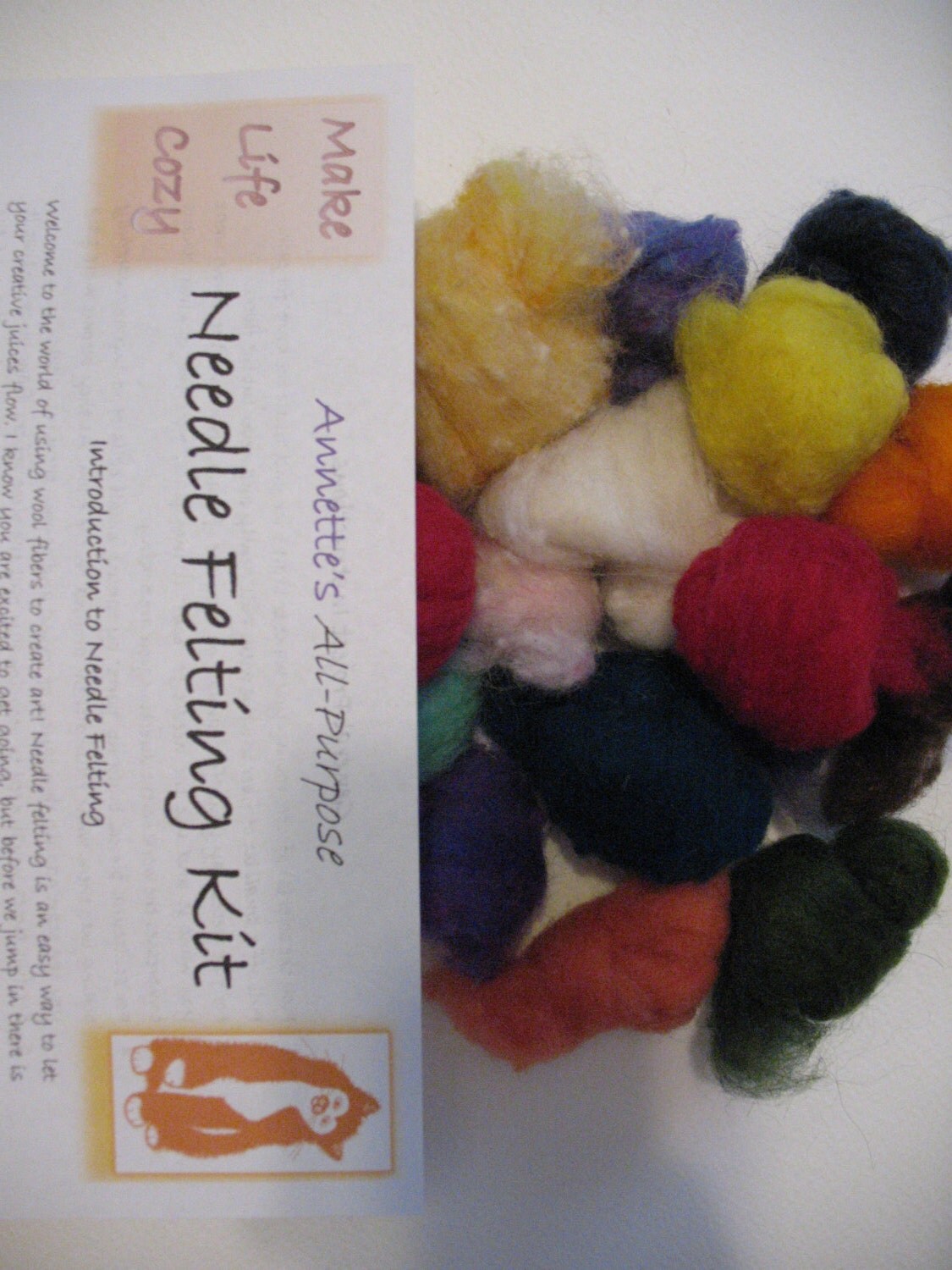 Beginner Needle Felting Kit Starter Basic Intro 22 colors Wool