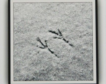 In the Snow, Bird Tracks, Art Photography