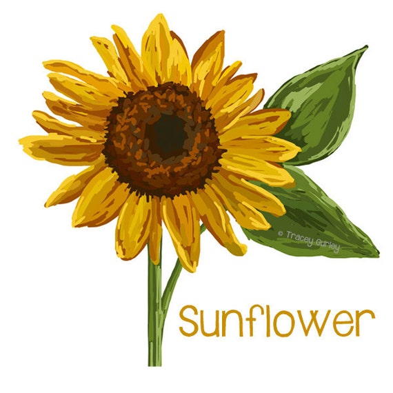 Free Free 340 Simple Vintage Sunflower Clipart SVG PNG EPS DXF File